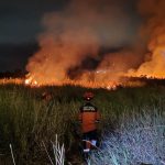 Kebakaran Hutan di Ogan Ilir