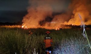 Kebakaran Hutan di Ogan Ilir