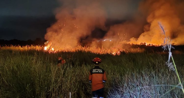 Kebakaran Hutan di Ogan Ilir