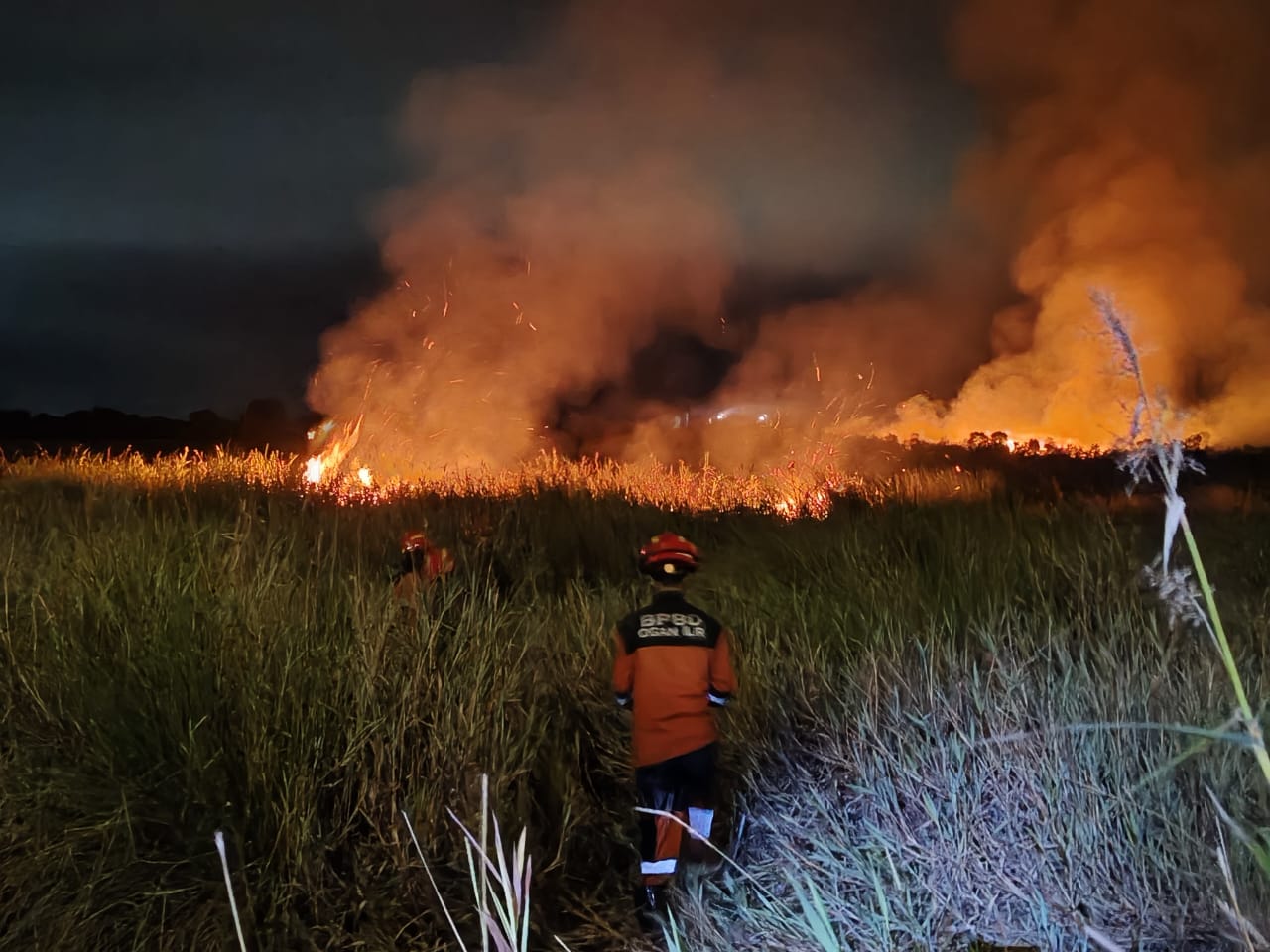 Kebakaran Hutan di Ogan Ilir